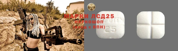ПСИЛОЦИБИНОВЫЕ ГРИБЫ Абаза
