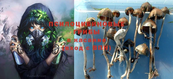 шишки Алексеевка